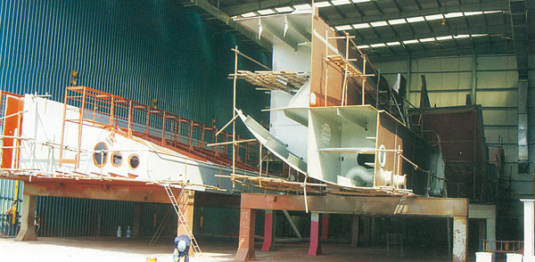 十八胺基二乙醇胺octadecyl amine ethoxylate ether (2eo) cas10213-78-2